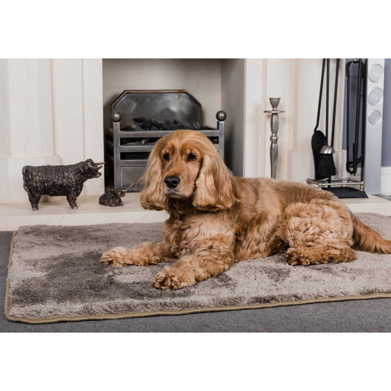 Pet Rebellion Big Softie Rug - Taupe -1